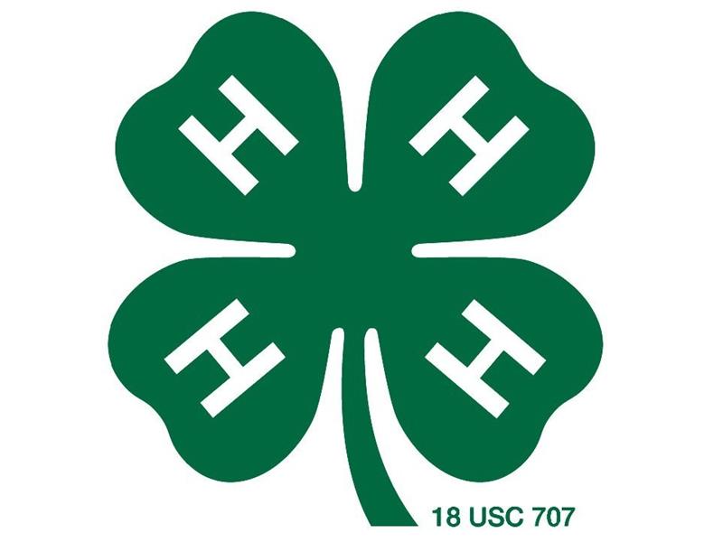 Logo for 2026 Miner County 4-H Achievement Days